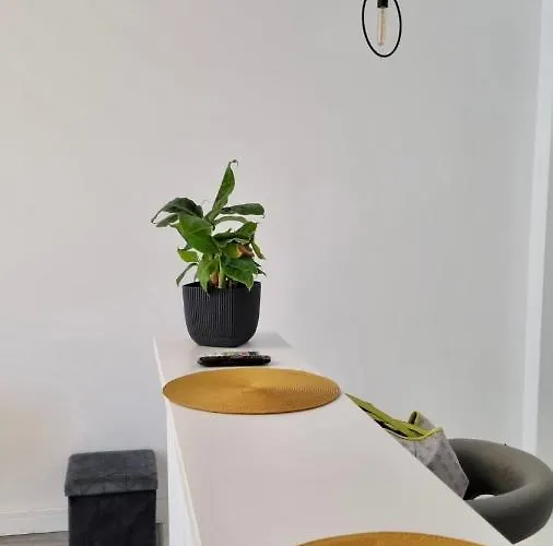 A Lovely Coastal Studio In Onix Blue, Mamaia-nord *